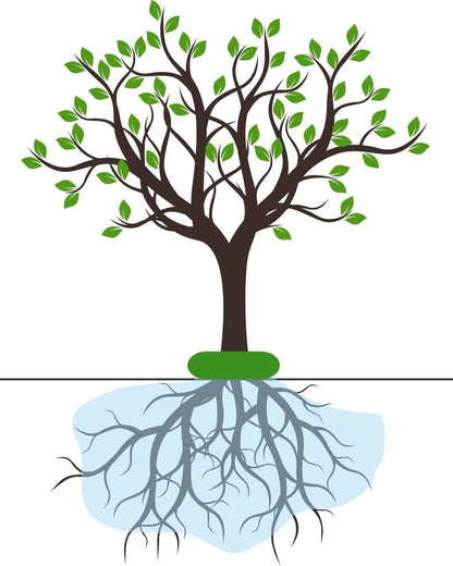 Bewässerungssack, 57 Liter