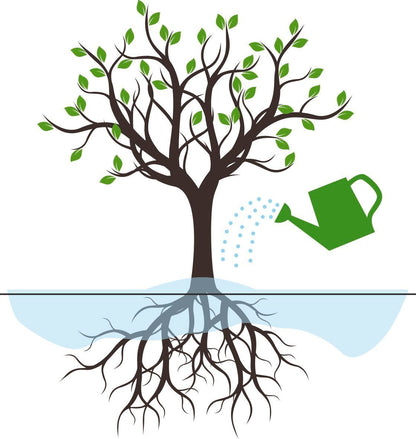 Bewässerungssack, 57 Liter