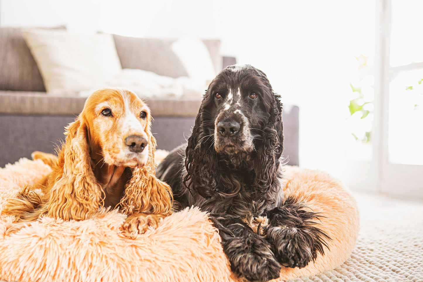 Hunde- und Katzenbett, 100 cm