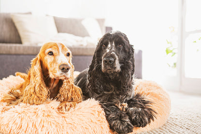 Hunde- und Katzenbett, 100 cm