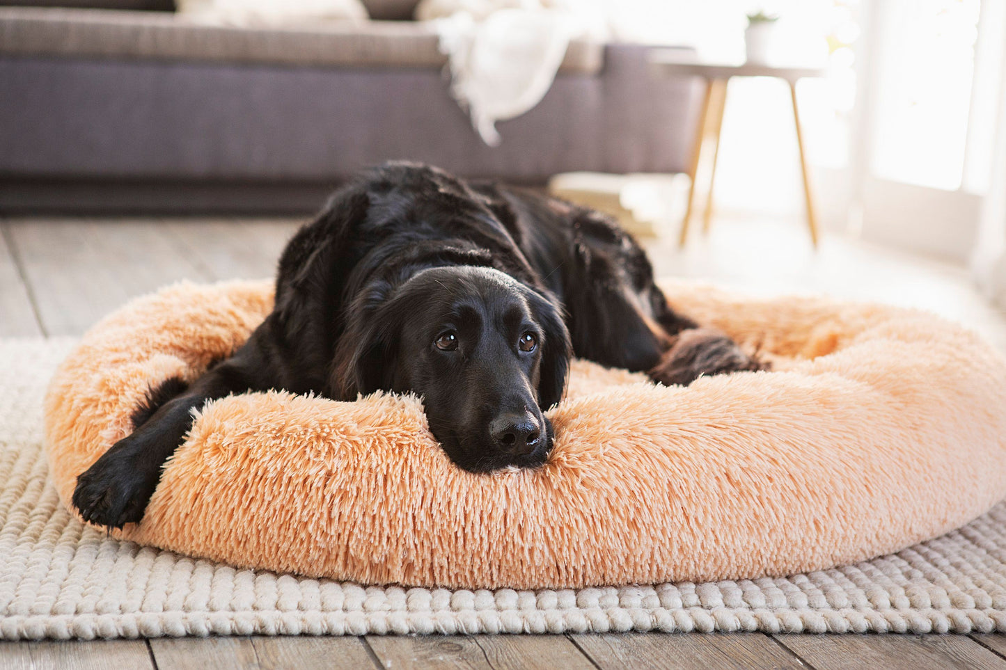 Hunde- und Katzenbett, 100 cm