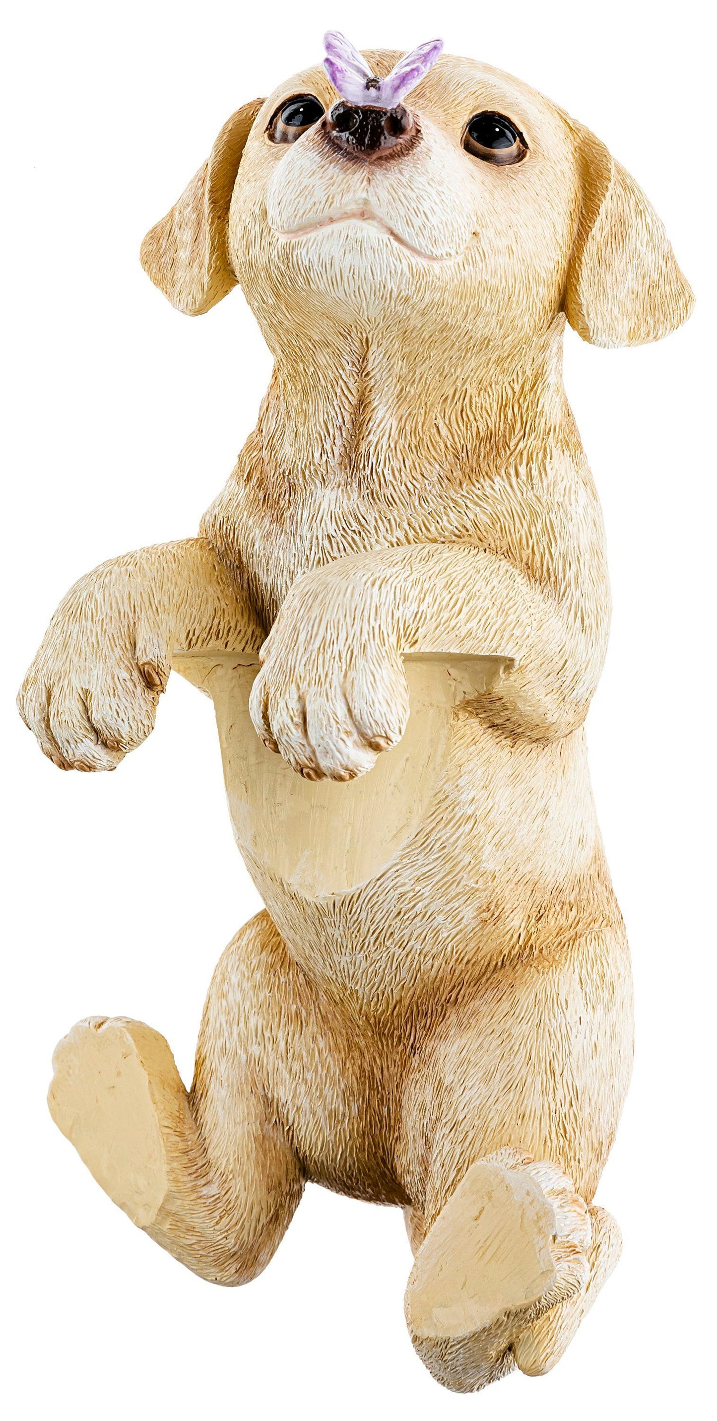 Zaungucker Hund "Lotti"