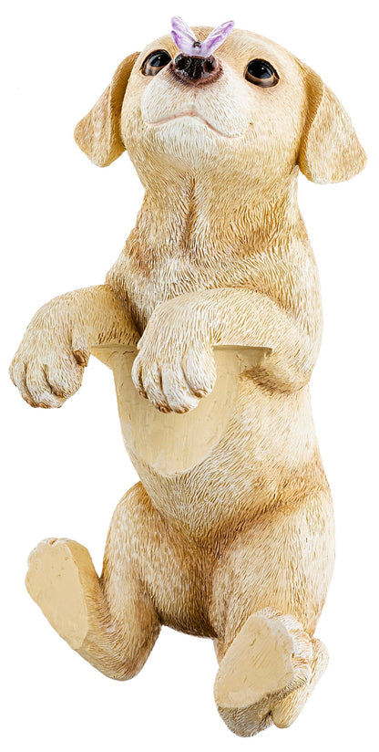 Zaungucker Hund "Lotti"