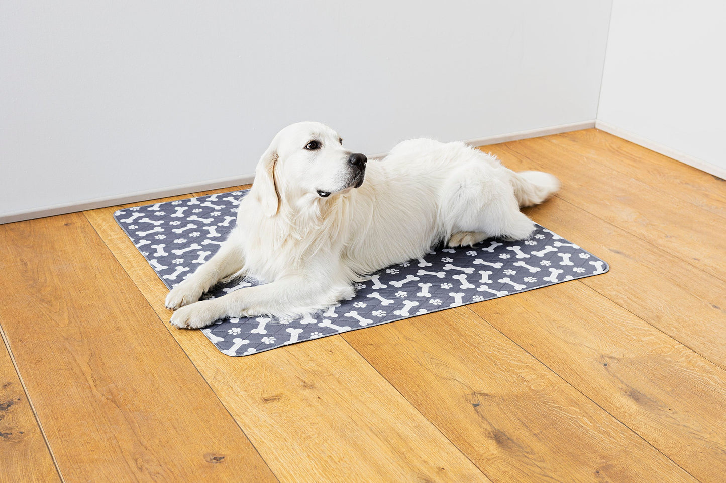 Hundedecke saugfähig