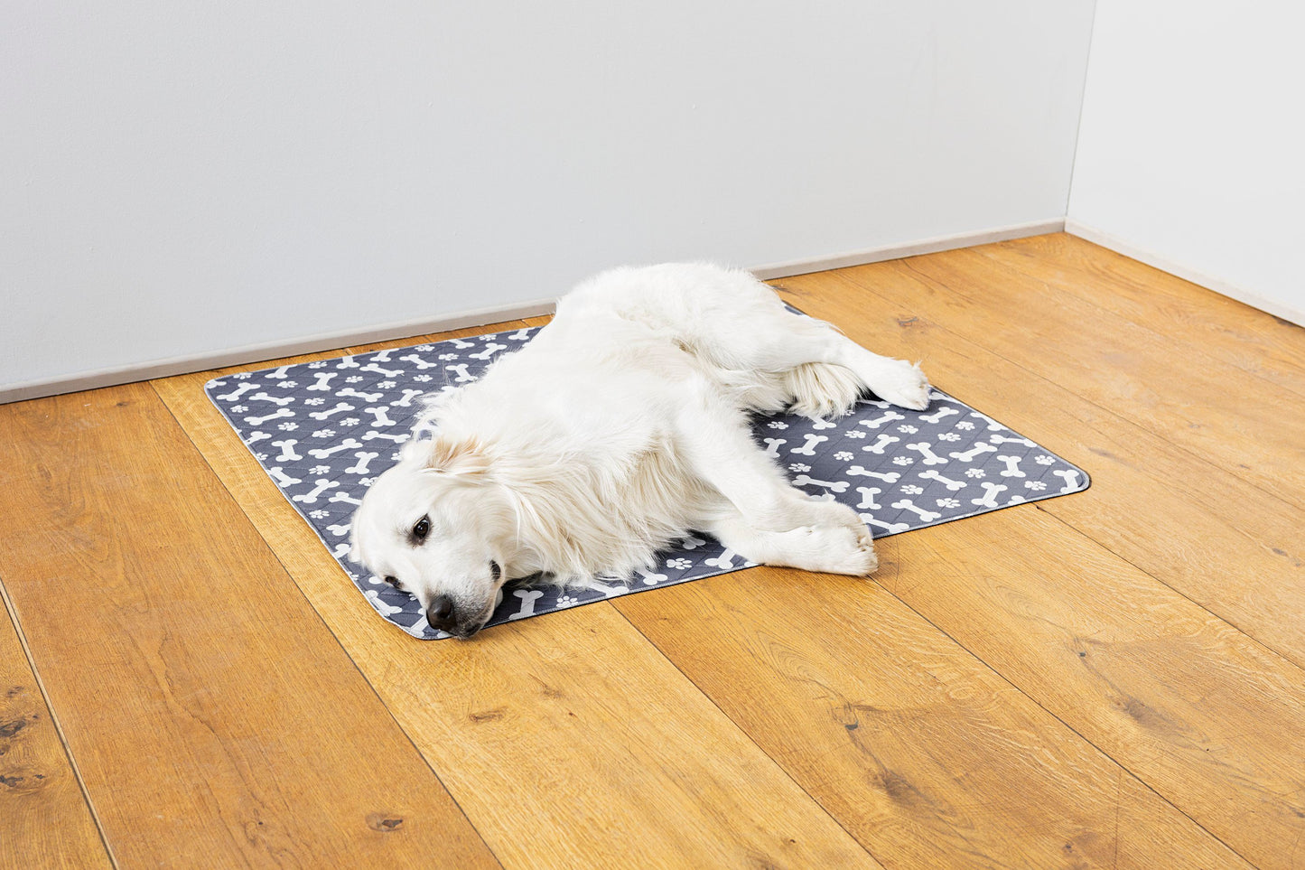 Hundedecke saugfähig