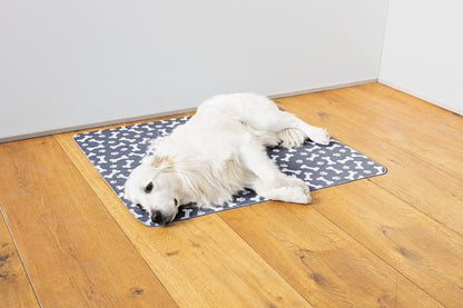 Hundedecke saugfähig