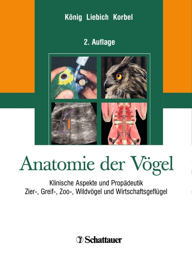 Anatomie der Vögel (Horst E. König)