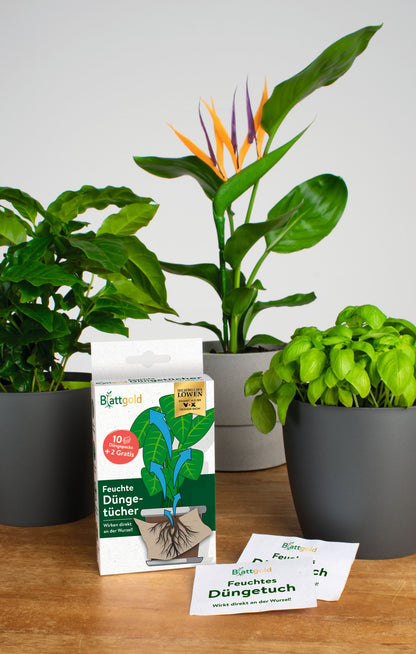 Blattgold Düngertuch 12er-Set 5g Sachet