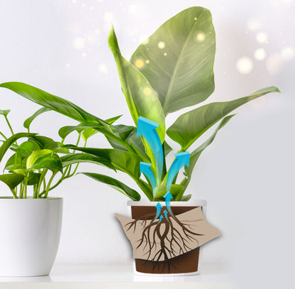 Blattgold Düngertuch 12er-Set 5g Sachet