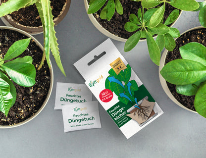 Blattgold Düngertuch 12er-Set 5g Sachet