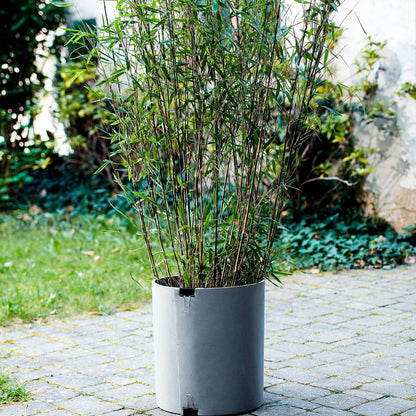 Winter-Kälteschutzmatte