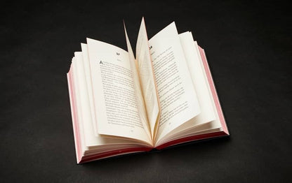 Sebastian Fitzek Geschenkbox mit Online-Schreibkurs