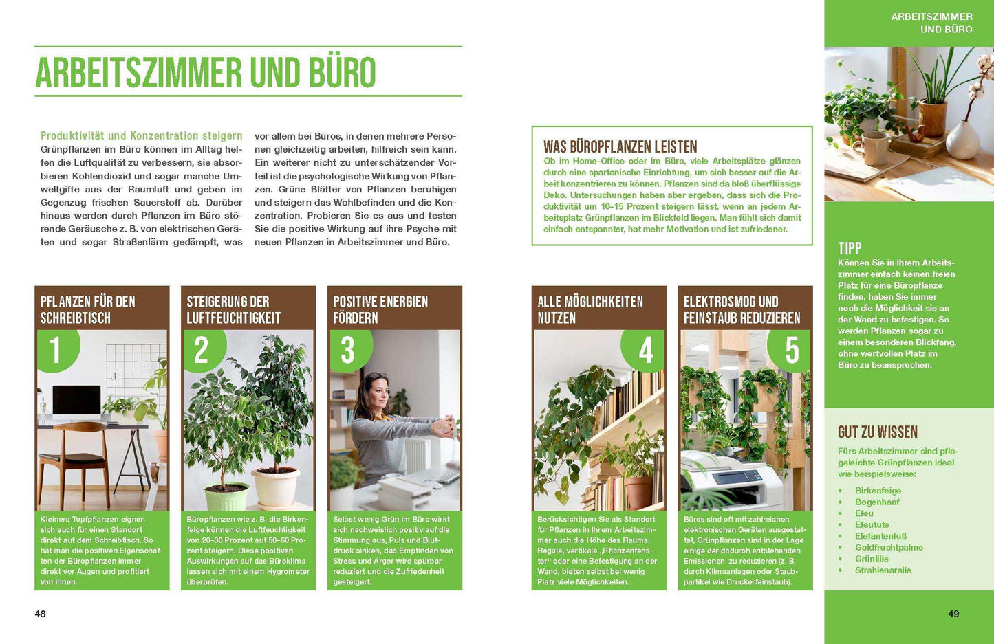 Zimmerpflanzen für ein gutes Raumklima - Gärtner Pötschke Edition