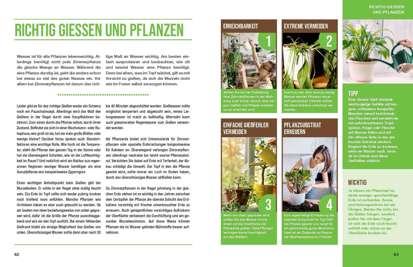 Zimmerpflanzen für ein gutes Raumklima - Gärtner Pötschke Edition