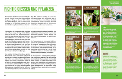 Zimmerpflanzen für ein gutes Raumklima - Gärtner Pötschke Edition