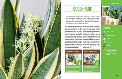 Zimmerpflanzen für ein gutes Raumklima - Gärtner Pötschke Edition