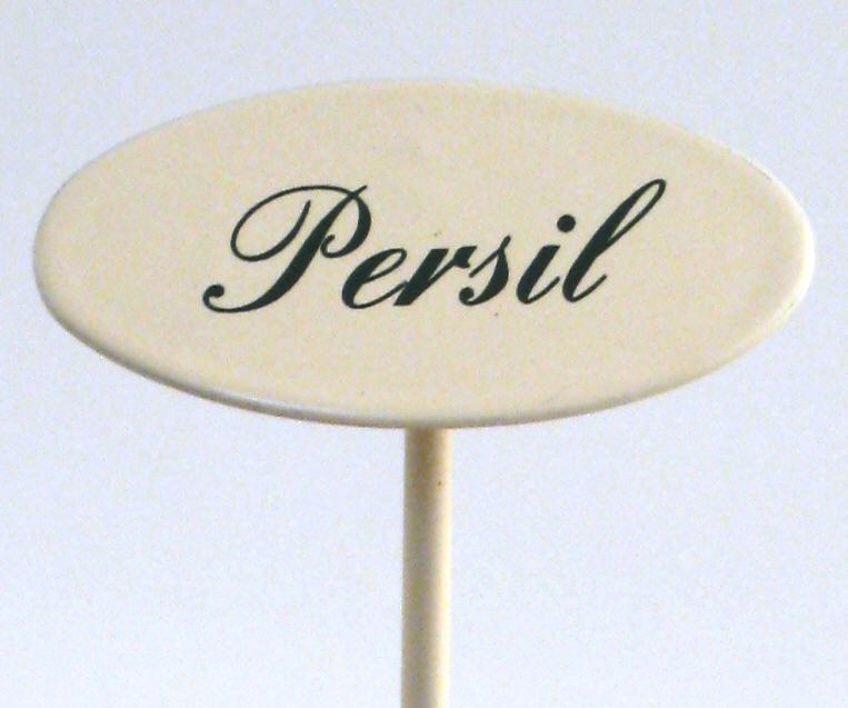 Gewürzstecker Persil 20 cm