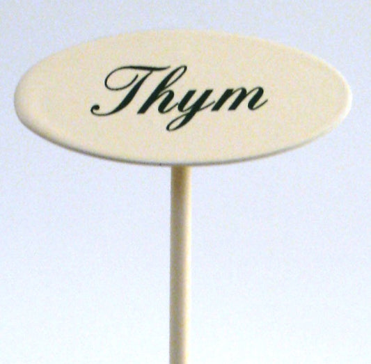 Gewürzstecker Thym