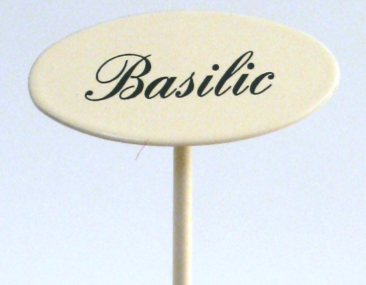 Gewürzstecker Basilic