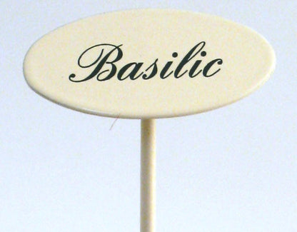 Gewürzstecker Basilic