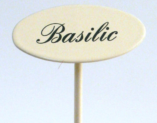 Gewürzstecker Basilic