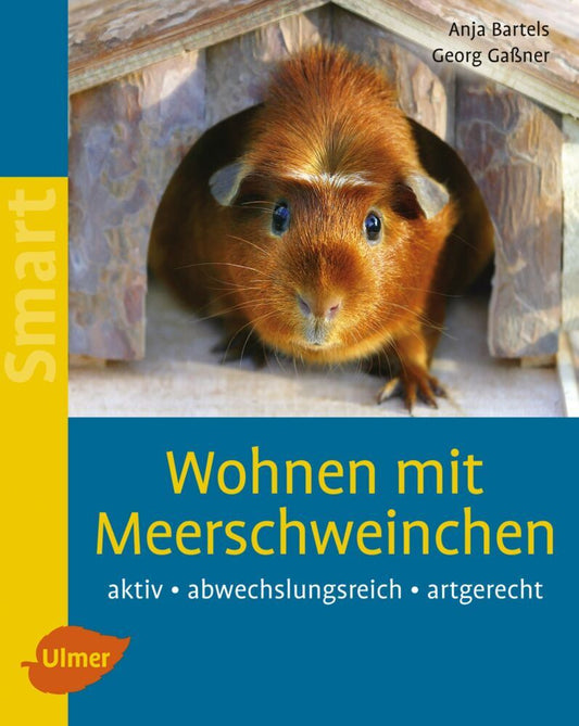 Wohnen mit Meerschweinchen (Anja Bartels)