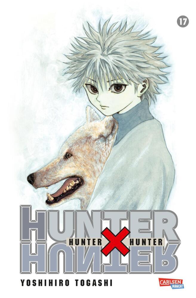 Hunter X Hunter 17 (Yoshihiro Togashi)