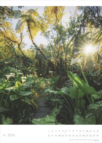 XL-Kalender 2026 "Spirit of Nature" (50 x 70 cm)