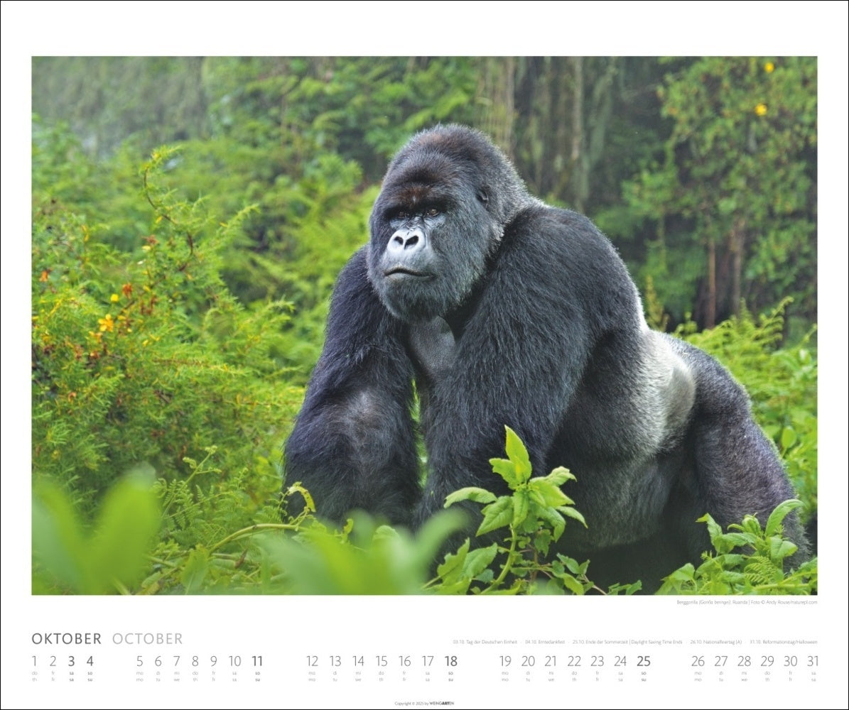 Posterkalender 2026 "African Wildlife" (46 x 55 cm)