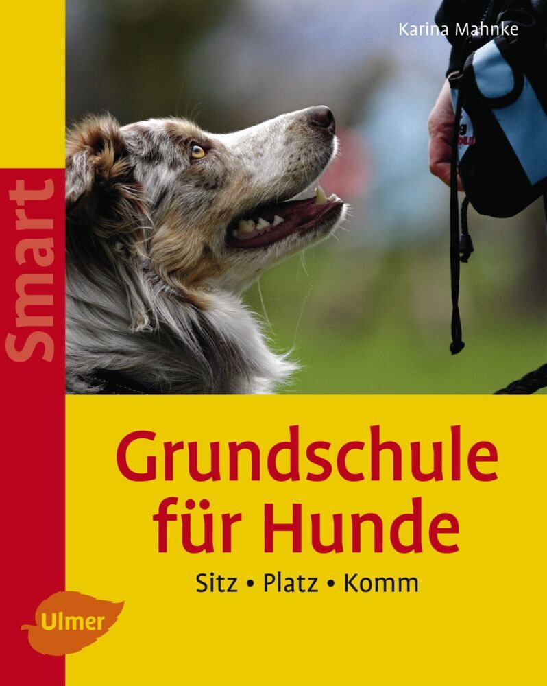 Grundschule für Hunde (Karina Mahnke)