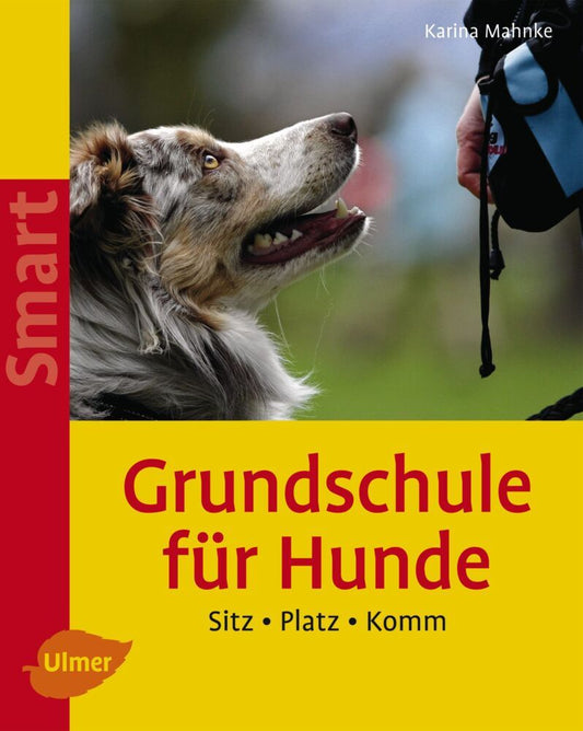 Grundschule für Hunde (Karina Mahnke)