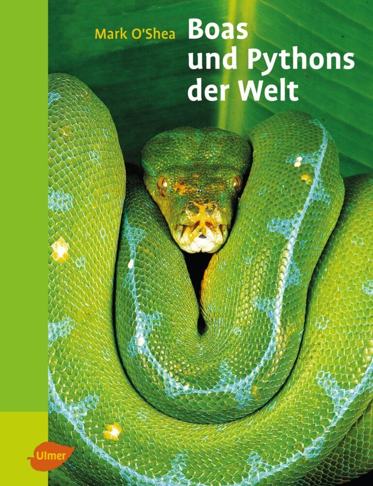 Boas und Pythons der Welt (Mark O'Shea)
