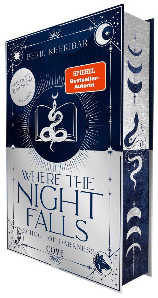 Where the Night Falls (School of Darkness 1) (Beril Kehribar)