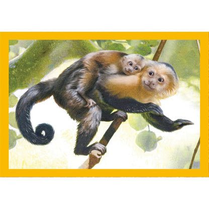 Clementoni 4-in-1 Puzzle - Tierbabys (12 - 24 Teile)