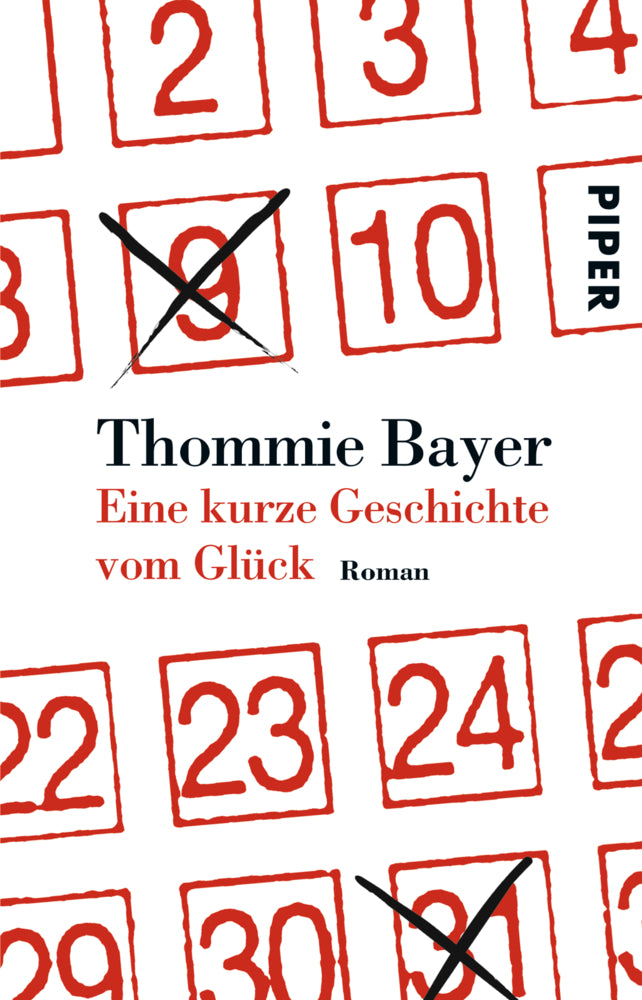 Eine kurze Geschichte vom Glück (Thommie Bayer)