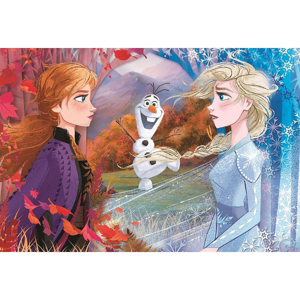 Clementoni Maxi-Puzzle - Disney Frozen II "Kontraste" (60 Teile)
