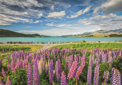 Clementoni Puzzle - Neuseeland "Lake Tekapo" (1500 Teile)