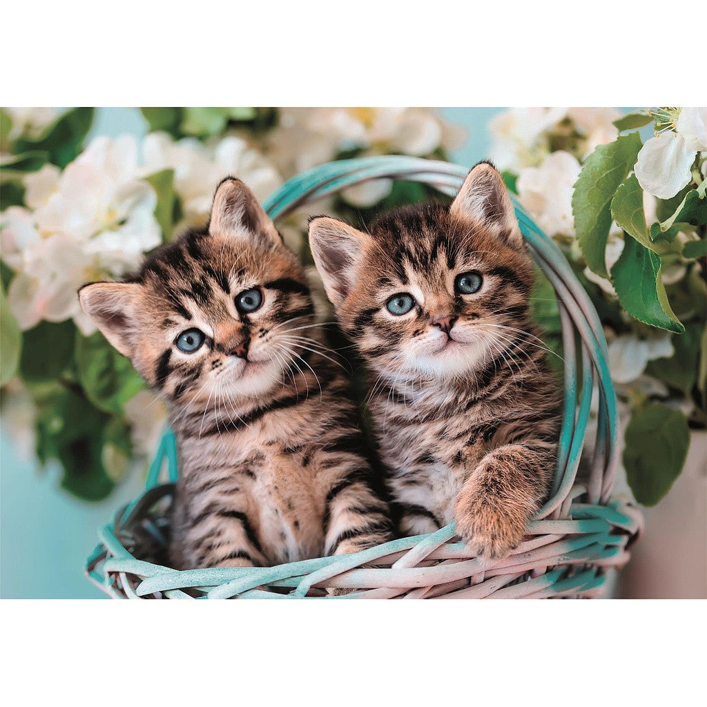 Clementoni Puzzle - Katzenbabys (60 Teile)
