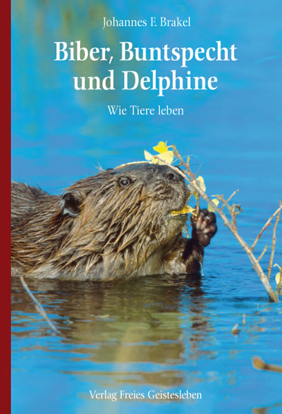 Biber, Buntspecht und Delphine (Johannes F. Brakel)