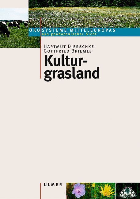 Kulturgrasland (Hartmut Dierschke)