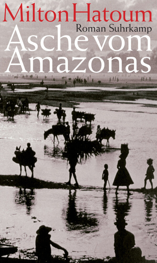 Asche vom Amazonas (Milton Hatoum)