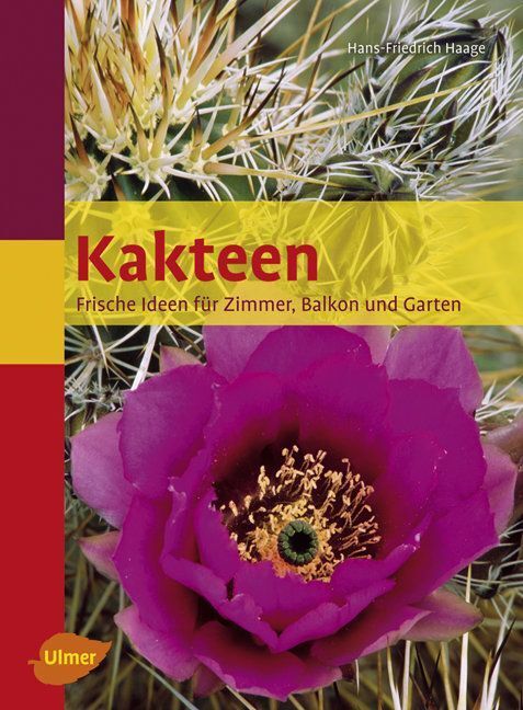 Kakteen (Hans-Friedrich Haage)