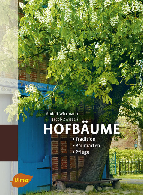 Hofbäume (Rudolf Wittmann)