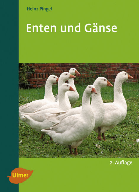 Enten und Gänse (Heinz Pingel)