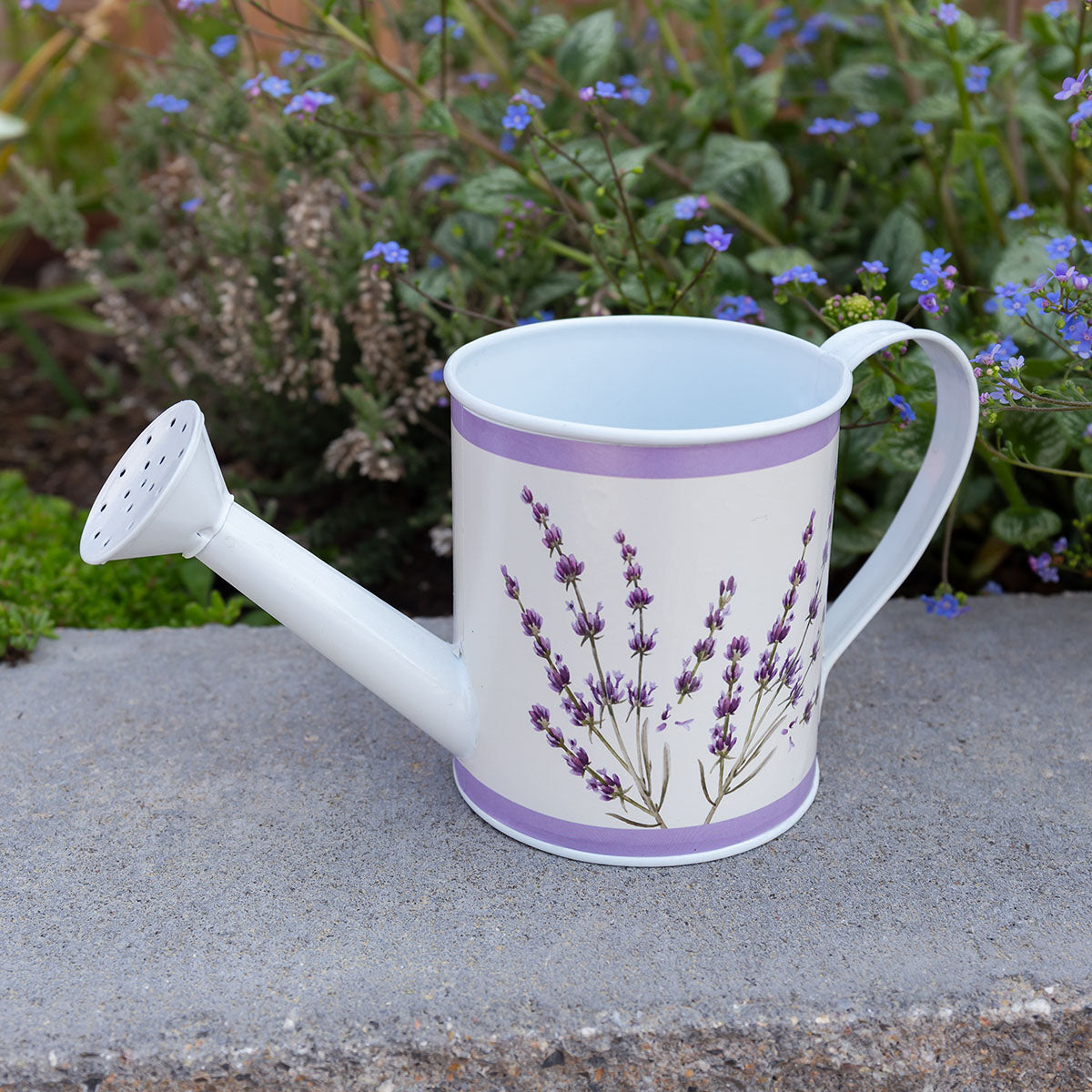 Geschenkset "Esscential Body Classics" in Giesskanne (Duschgel und Nagelbürste)