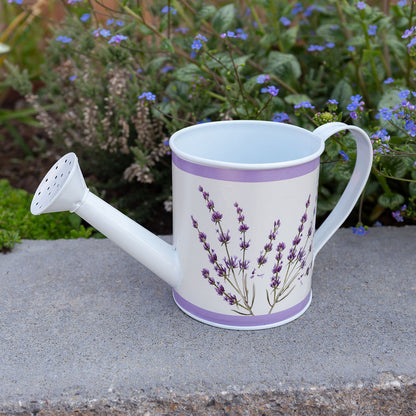 Geschenkset "Esscential Body Classics" in Giesskanne (Duschgel und Nagelbürste)