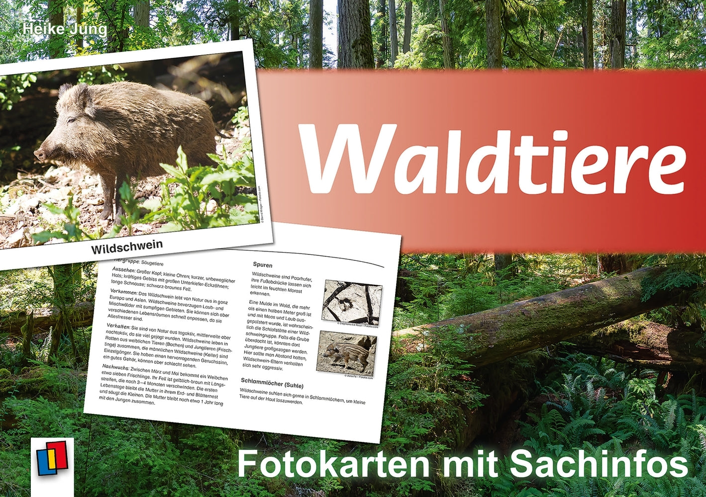 Waldtiere (Heike Jung)