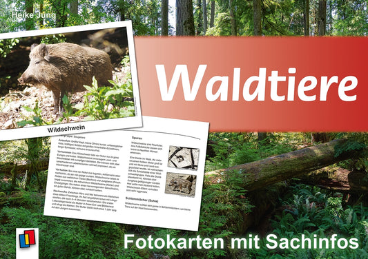 Waldtiere (Heike Jung)