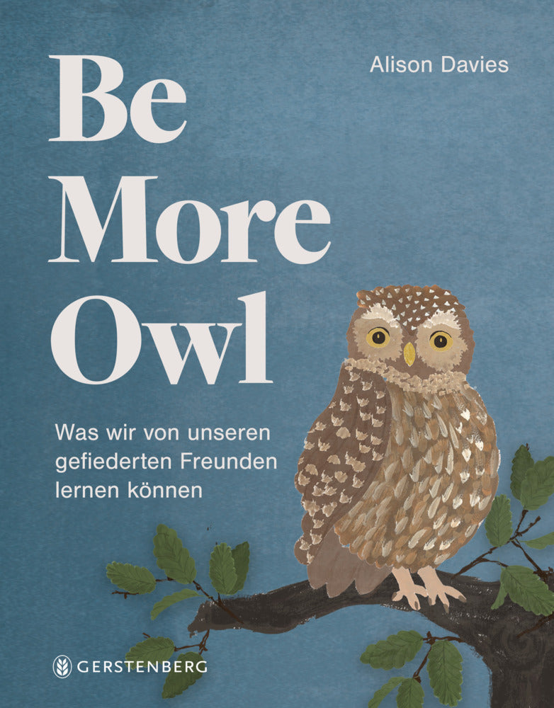 Be More Owl (Alison Davies)