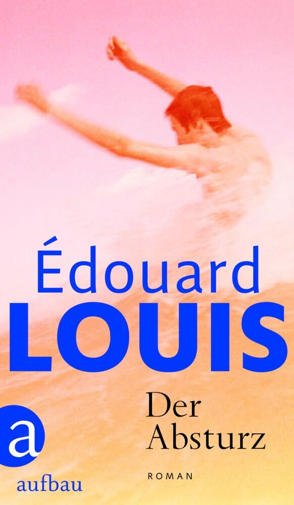 Der Absturz (Édouard Louis)